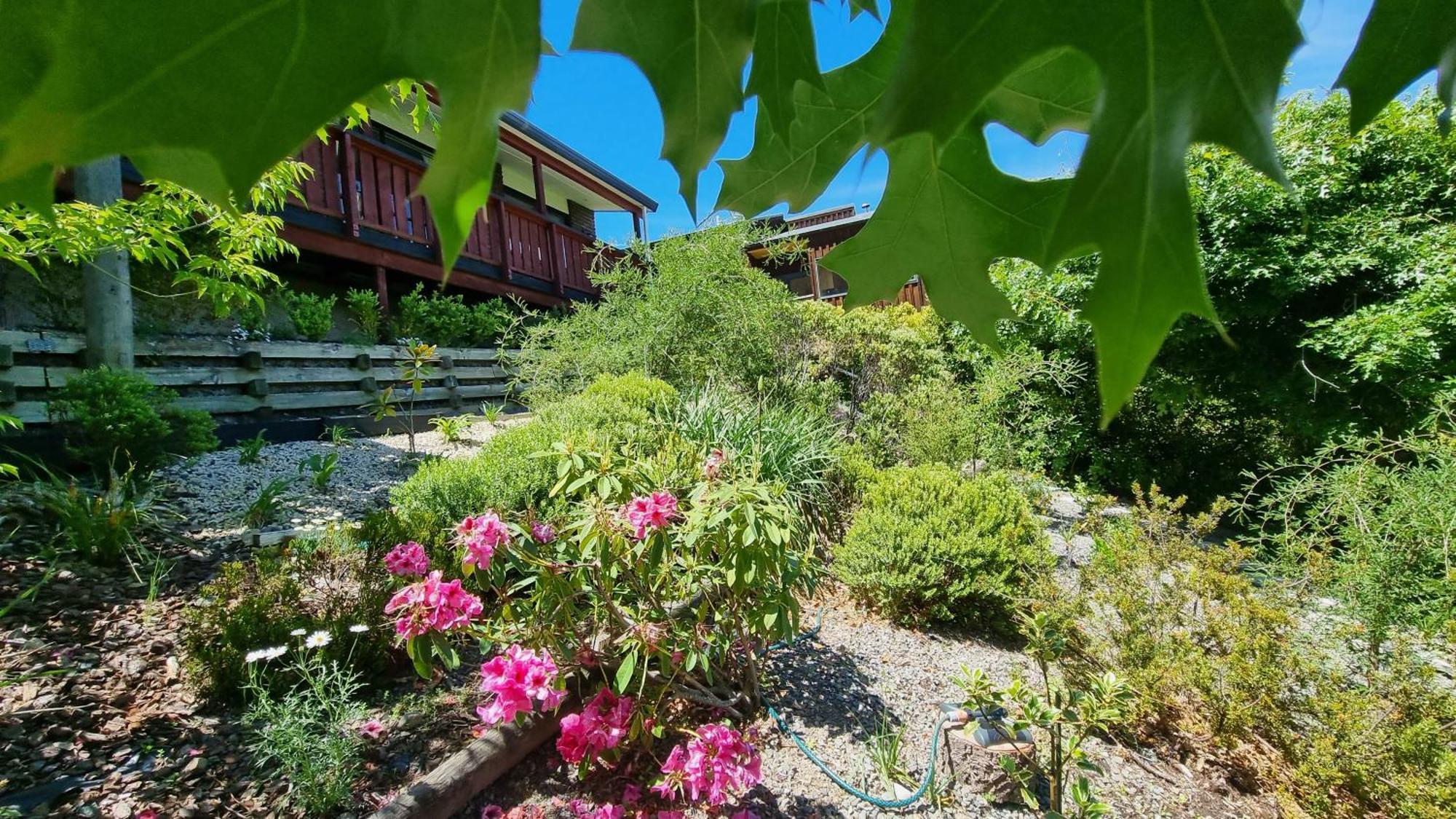 27 Alpine Avenue Villa Hanmer Springs Eksteriør bilde